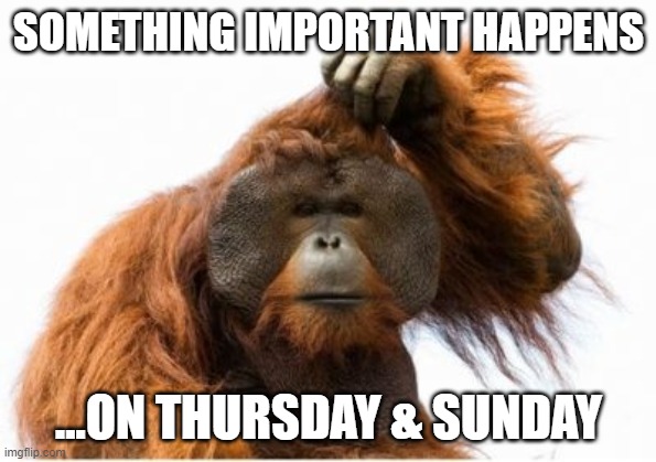 Deadline Reminder | SOMETHING IMPORTANT HAPPENS; ...ON THURSDAY & SUNDAY | image tagged in ape scratching head | made w/ Imgflip meme maker