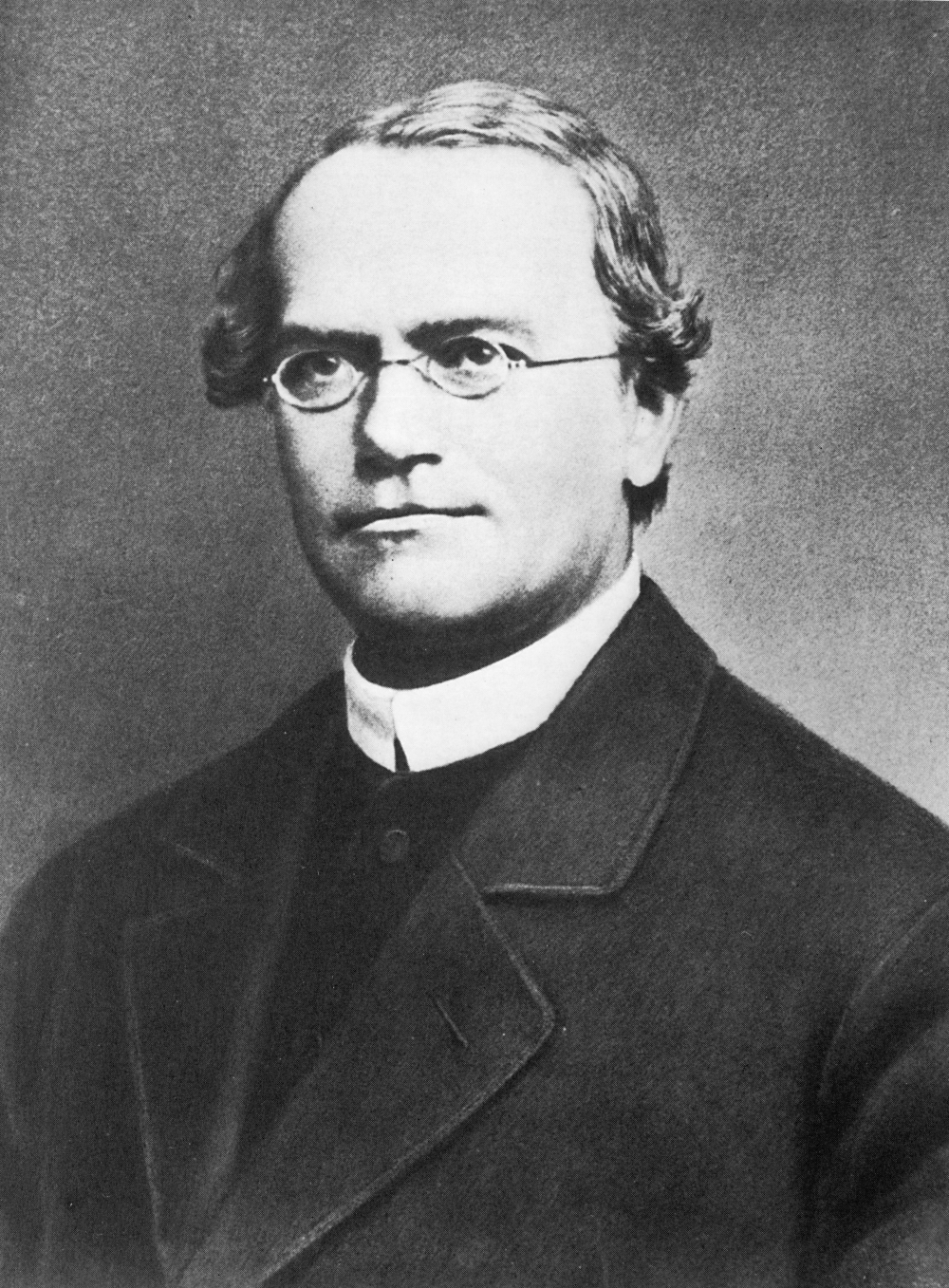 High Quality Gregor Mendel Blank Meme Template