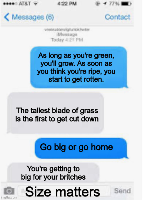 Blank text conversation | As long as you're green,
you'll grow. As soon as
you think you're ripe, you
start to get rotten. The tallest blade of grass is the first to  | image tagged in blank text conversation | made w/ Imgflip meme maker