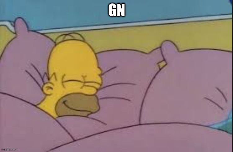 how i sleep homer simpson | GN | image tagged in how i sleep homer simpson | made w/ Imgflip meme maker