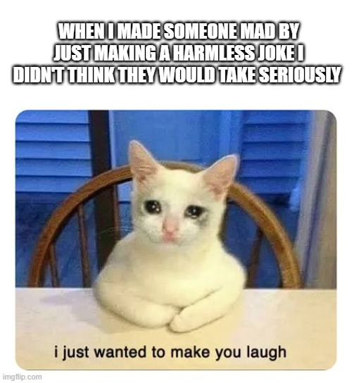 insert title | WHEN I MADE SOMEONE MAD BY JUST MAKING A HARMLESS JOKE I DIDN'T THINK THEY WOULD TAKE SERIOUSLY | image tagged in i just wanted to make you laugh | made w/ Imgflip meme maker