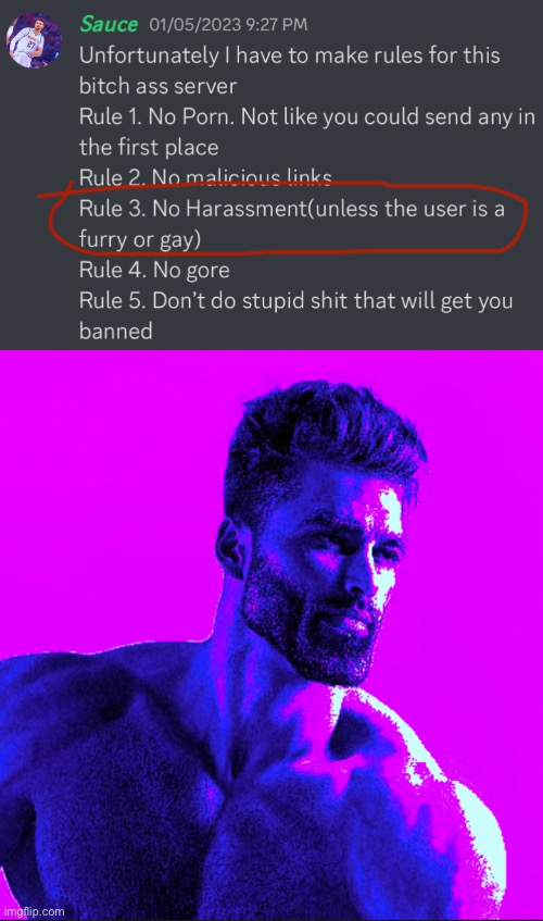 Mega ultra ZX based discord | image tagged in balls,cry about it | made w/ Imgflip meme maker