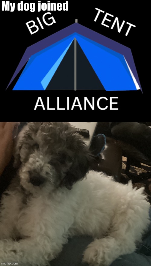 He joined =D | My dog joined | image tagged in big tent alliance party logo | made w/ Imgflip meme maker