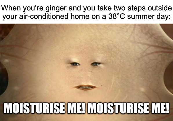 Based on real events | When you’re ginger and you take two steps outside
your air-conditioned home on a 38°C summer day:; MOISTURISE ME! MOISTURISE ME! | image tagged in blank white template,cassandra doctor who | made w/ Imgflip meme maker