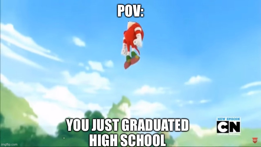 ULTIMATE FREEDOM | POV:; YOU JUST GRADUATED
HIGH SCHOOL | image tagged in knuckles flies - sonic boom | made w/ Imgflip meme maker