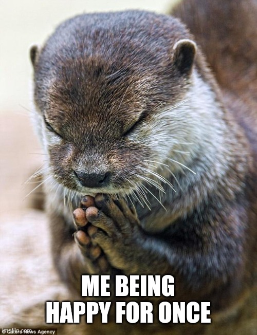 Thank you Lord Otter | ME BEING HAPPY FOR ONCE | image tagged in thank you lord otter | made w/ Imgflip meme maker