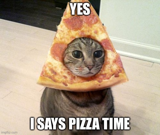 pizza cat | YES I SAYS PIZZA TIME | image tagged in pizza cat | made w/ Imgflip meme maker