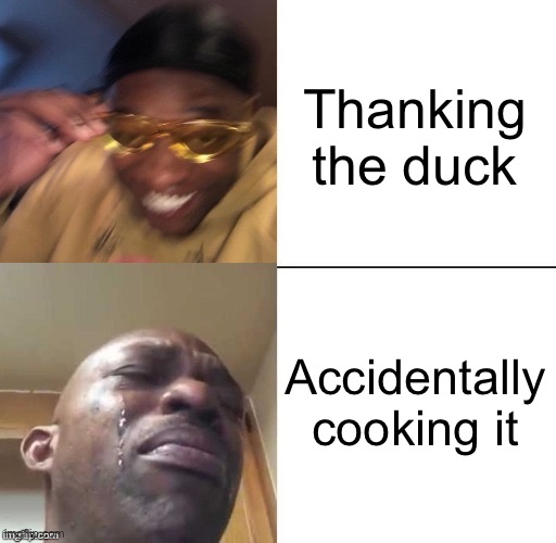 wearing sunglasses crying | Thanking the duck Accidentally cooking it | image tagged in wearing sunglasses crying | made w/ Imgflip meme maker