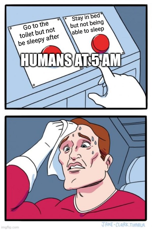 Just happened to me today | Stay in bed but not being able to sleep; Go to the toilet but not be sleepy after; HUMANS AT 5 AM | image tagged in memes,two buttons | made w/ Imgflip meme maker