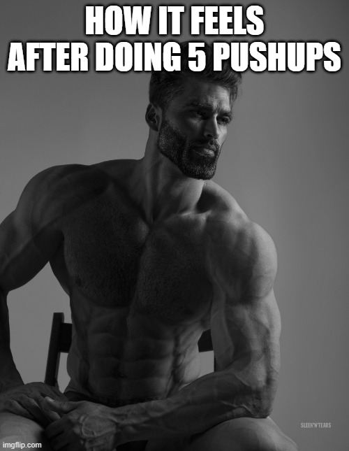 Giga Chad | HOW IT FEELS AFTER DOING 5 PUSHUPS | image tagged in giga chad | made w/ Imgflip meme maker
