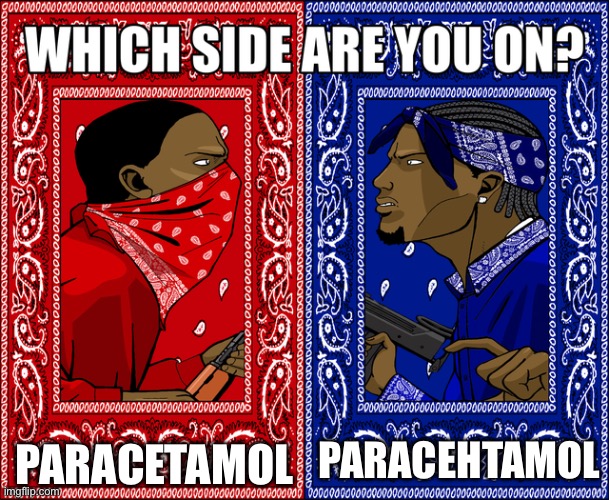 pa - ra - see - ta - mol or pa - ra - set - a - mol | PARACETAMOL; PARACEHTAMOL | image tagged in which side are you on | made w/ Imgflip meme maker