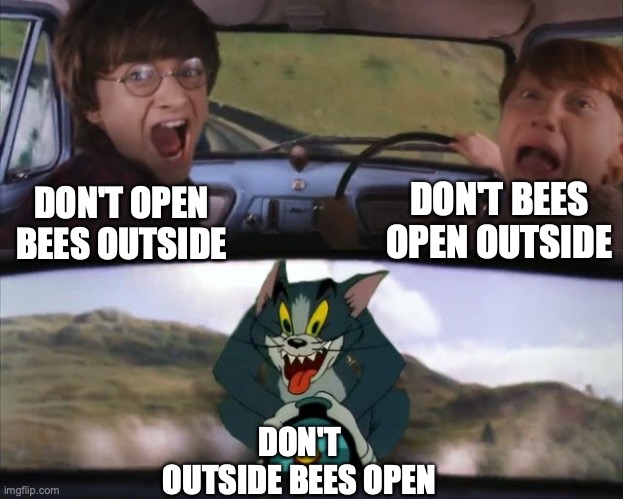 Tom chasing Harry and Ron Weasly | DON'T OPEN BEES OUTSIDE DON'T BEES OPEN OUTSIDE DON'T OUTSIDE BEES OPEN | image tagged in tom chasing harry and ron weasly | made w/ Imgflip meme maker