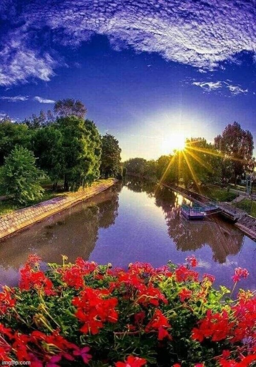 image tagged in awesome | made w/ Imgflip meme maker