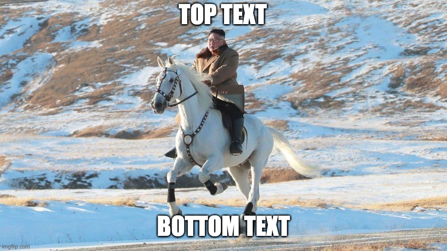 Kim Jong-Un horse | TOP TEXT; BOTTOM TEXT | image tagged in kim jong-un horse | made w/ Imgflip meme maker