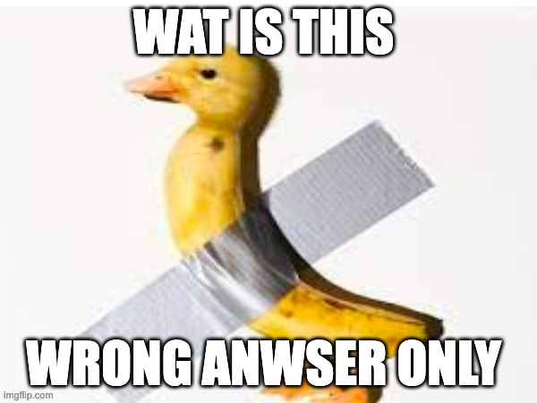 duck | WAT IS THIS; WRONG ANWSER ONLY | image tagged in duck | made w/ Imgflip meme maker