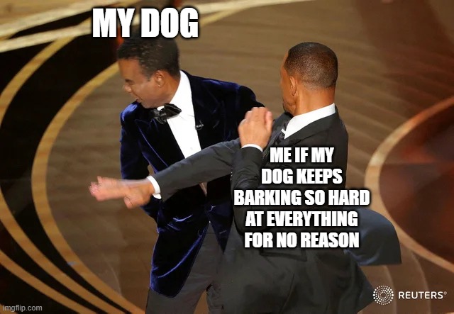 I've just about had it with this noisy mutt | MY DOG; ME IF MY DOG KEEPS BARKING SO HARD AT EVERYTHING FOR NO REASON | image tagged in will smith punching chris rock,memes,enough is enough,life,relatable,pets can be jerks sometimes | made w/ Imgflip meme maker