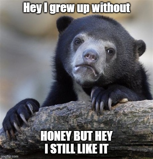 Honey | Hey I grew up without; HONEY BUT HEY I STILL LIKE IT | image tagged in memes,confession bear | made w/ Imgflip meme maker