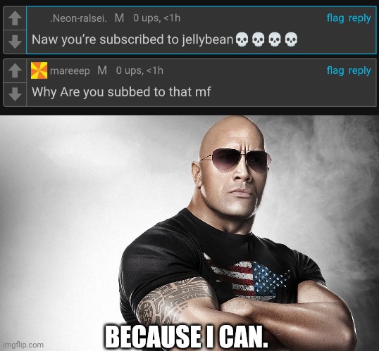 BECAUSE I CAN. | image tagged in dwayne johnson | made w/ Imgflip meme maker