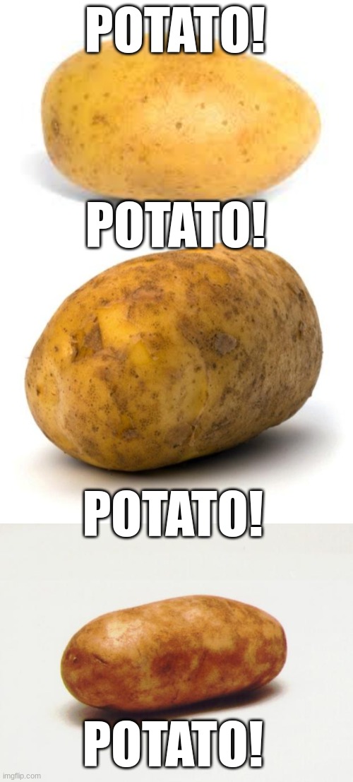 Potato! | POTATO! POTATO! POTATO! POTATO! | image tagged in potato,i am a potato,the rl potato | made w/ Imgflip meme maker