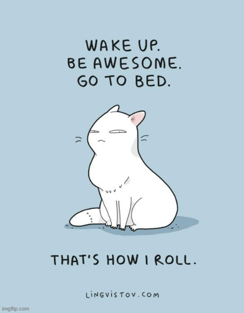 A Cat's Way Of Thinking | image tagged in memes,comics,cats,wake up,cats are awesome,sleep | made w/ Imgflip meme maker