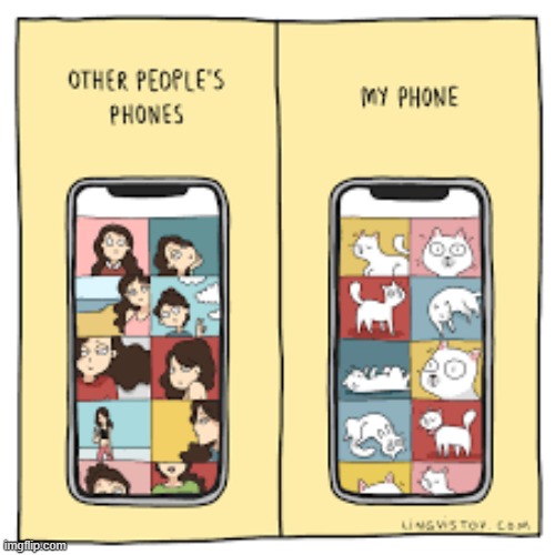 A Cat Guy's Way Of Thinking | image tagged in memes,comics,cell phones,pictures,mine,cats | made w/ Imgflip meme maker