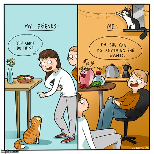 A Cat Lady's Way Of Thinking | image tagged in memes,comics,cat lady,friends,mine,cats | made w/ Imgflip meme maker