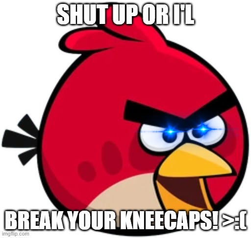 shut up or i'l break your kneecaps red | SHUT UP OR I'L; BREAK YOUR KNEECAPS! >:( | image tagged in funny memes | made w/ Imgflip meme maker