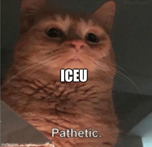 Pathetic Cat | ICEU | image tagged in pathetic cat | made w/ Imgflip meme maker