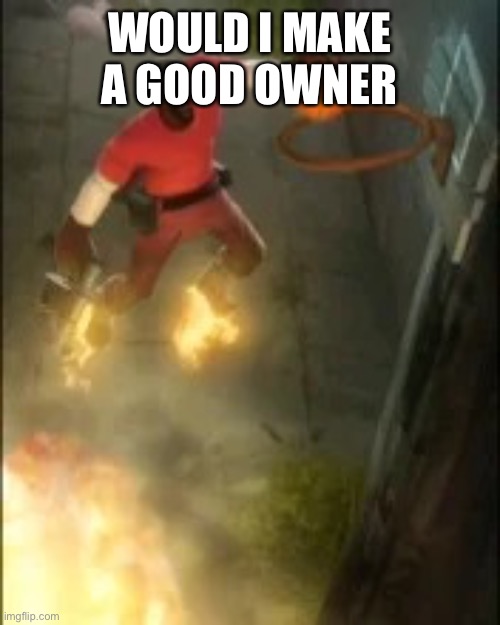 No | WOULD I MAKE A GOOD OWNER | image tagged in demoman ballin | made w/ Imgflip meme maker