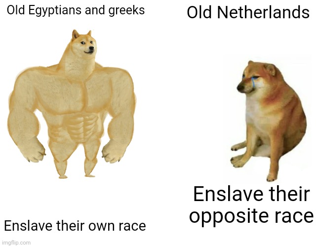 Idk what to name this title | Old Egyptians and greeks; Old Netherlands; Enslave their opposite race; Enslave their own race | image tagged in memes,buff doge vs cheems | made w/ Imgflip meme maker