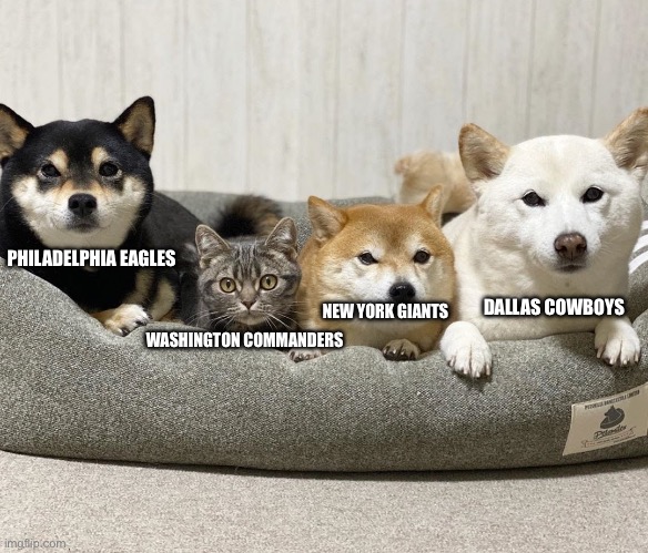 One Of These Things Is Not Like The Other NFC Playoffs Right Now | PHILADELPHIA EAGLES; DALLAS COWBOYS; NEW YORK GIANTS; WASHINGTON COMMANDERS | image tagged in one of these things is not like the other,philadelphia eagles,dallas cowboys,new york giants,nfl memes | made w/ Imgflip meme maker