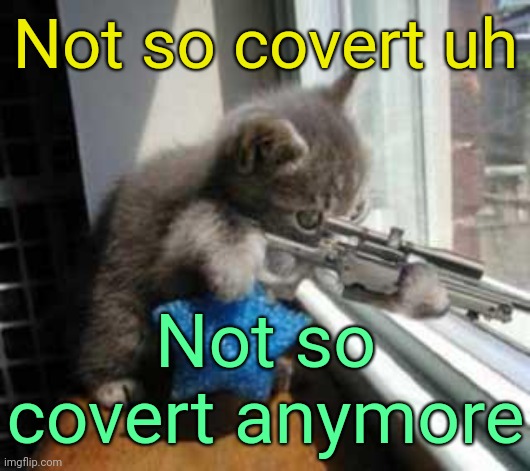CatSniper | Not so covert uh; Not so covert anymore | image tagged in catsniper | made w/ Imgflip meme maker