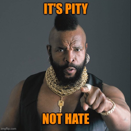 Mister-T | IT'S PITY NOT HATE | image tagged in mister-t | made w/ Imgflip meme maker
