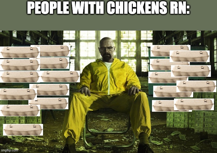 Idk what this meme even means lol | PEOPLE WITH CHICKENS RN: | image tagged in eggs | made w/ Imgflip meme maker