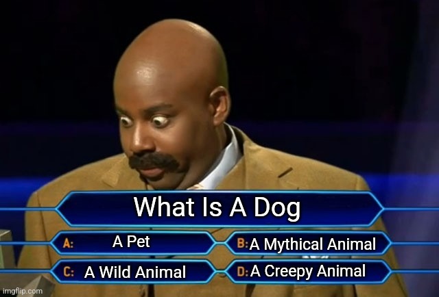 What Is A Dog | What Is A Dog; A Pet; A Mythical Animal; A Creepy Animal; A Wild Animal | image tagged in who wants to be a millionaire | made w/ Imgflip meme maker