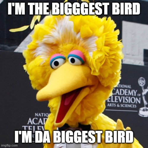Hello... It's me | I'M THE BIGGGEST BIRD; I'M DA BIGGEST BIRD | image tagged in memes,big bird | made w/ Imgflip meme maker
