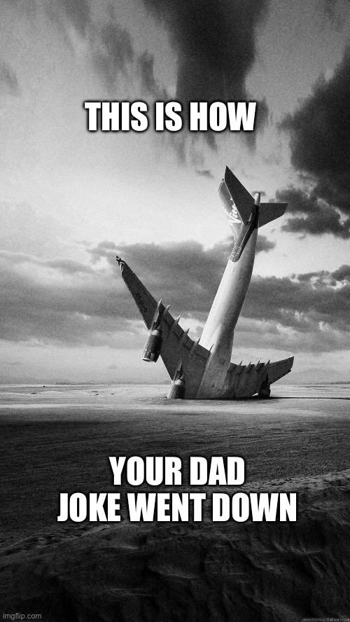 Plane crash | THIS IS HOW; YOUR DAD JOKE WENT DOWN | image tagged in plane crash | made w/ Imgflip meme maker