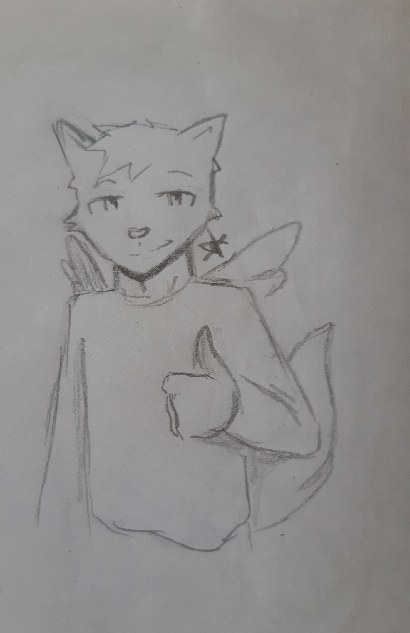 Flipper Blank Meme Template