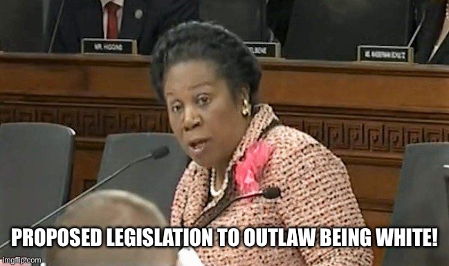 She-Jack  attacks white’s “ they should outlawed” | PROPOSED LEGISLATION TO OUTLAW BEING WHITE! | image tagged in sheila jackson lee | made w/ Imgflip meme maker