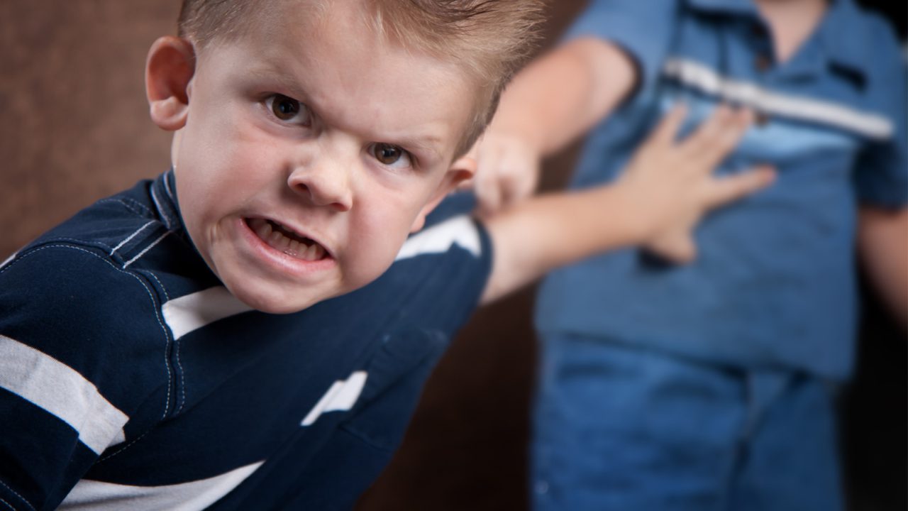 High Quality maga kid Blank Meme Template