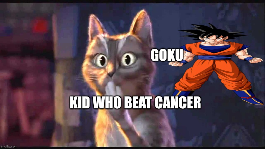 Cat Ooh Puss In Boots | GOKU; KID WHO BEAT CANCER | image tagged in cat ooh puss in boots | made w/ Imgflip meme maker