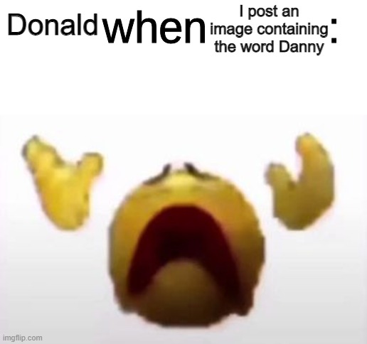 L | I post an image containing the word Danny; Donald | image tagged in user when offended | made w/ Imgflip meme maker