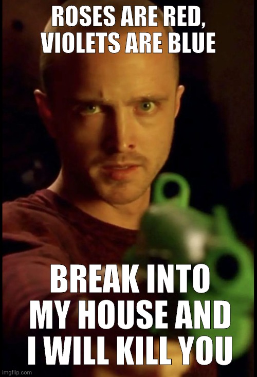 That's a promise. | ROSES ARE RED, VIOLETS ARE BLUE; BREAK INTO MY HOUSE AND I WILL KILL YOU | image tagged in jesse pinkman holding a gun | made w/ Imgflip meme maker