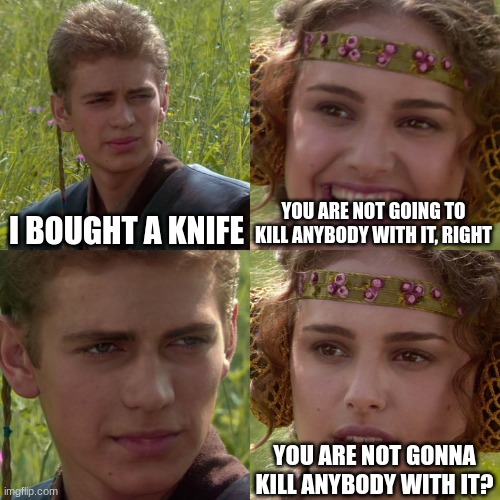 idk my first meme ik this is bad | I BOUGHT A KNIFE; YOU ARE NOT GOING TO KILL ANYBODY WITH IT, RIGHT; YOU ARE NOT GONNA KILL ANYBODY WITH IT? | image tagged in anakin padme 4 panel | made w/ Imgflip meme maker