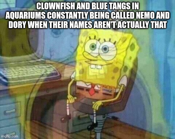 Poor things must have an identity crisis lol | CLOWNFISH AND BLUE TANGS IN AQUARIUMS CONSTANTLY BEING CALLED NEMO AND DORY WHEN THEIR NAMES AREN'T ACTUALLY THAT | image tagged in spongebob panic inside,clownfish,aquarium,nemo,dory | made w/ Imgflip meme maker