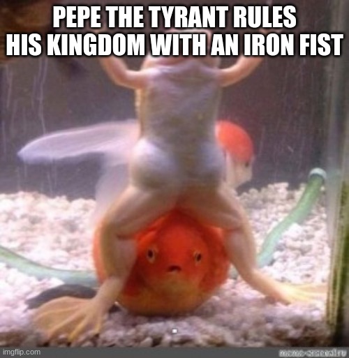 poor goldfish | PEPE THE TYRANT RULES HIS KINGDOM WITH AN IRON FIST | image tagged in pepe the frog,frog,goldfish,aquarium | made w/ Imgflip meme maker