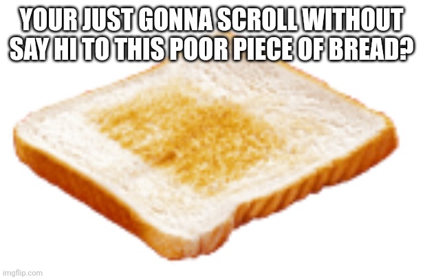 aww | YOUR JUST GONNA SCROLL WITHOUT SAY HI TO THIS POOR PIECE OF BREAD? | image tagged in bread | made w/ Imgflip meme maker