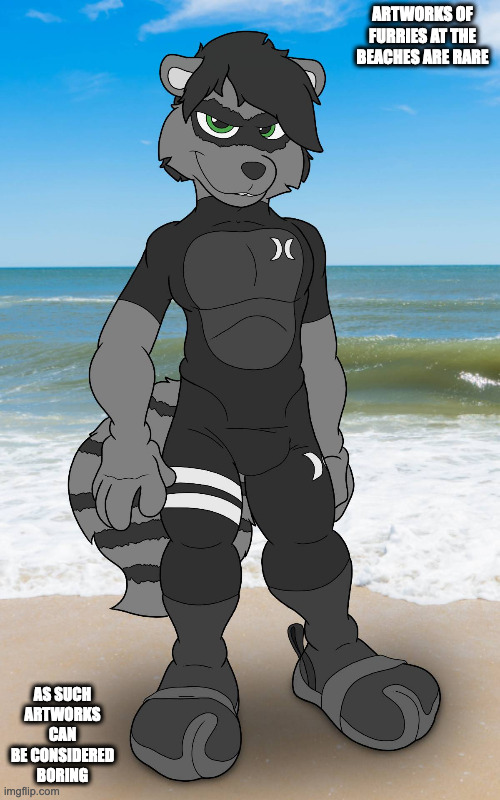 OG Racoon at Beach (Credit to How-Did-We-Get-Here on DeviantArt) | ARTWORKS OF FURRIES AT THE BEACHES ARE RARE; AS SUCH ARTWORKS CAN BE CONSIDERED BORING | image tagged in furry,beach,memes | made w/ Imgflip meme maker