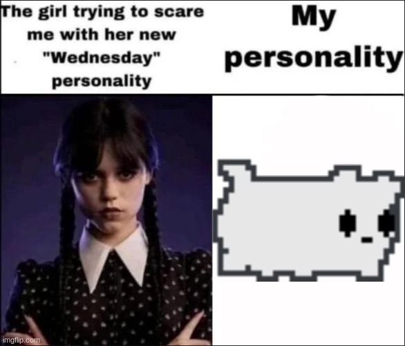 made w/ Imgflip meme maker