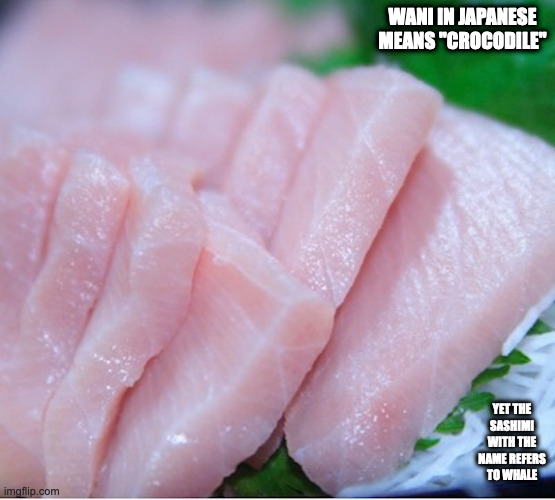Wani Sashimi | WANI IN JAPANESE MEANS "CROCODILE"; YET THE SASHIMI WITH THE NAME REFERS TO WHALE | image tagged in sashimi,food,memes | made w/ Imgflip meme maker
